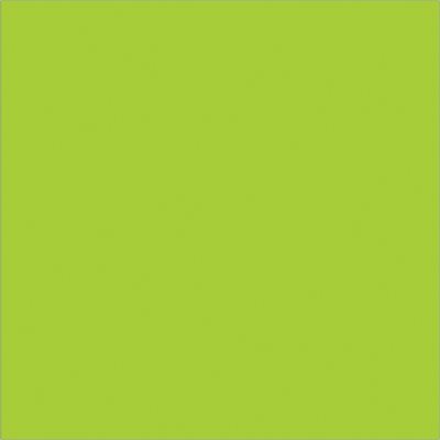 4 x 4" Fluorescent Green Inventory Rectangle Labels