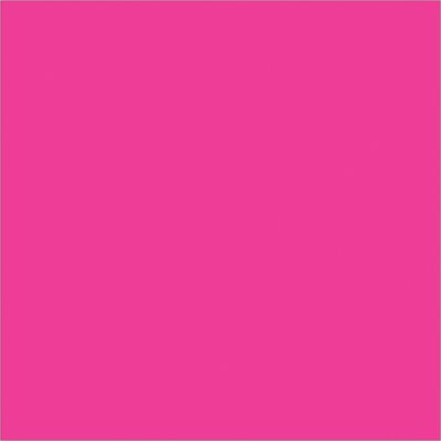 4 x 4" Fluorescent Pink Inventory Rectangle Labels